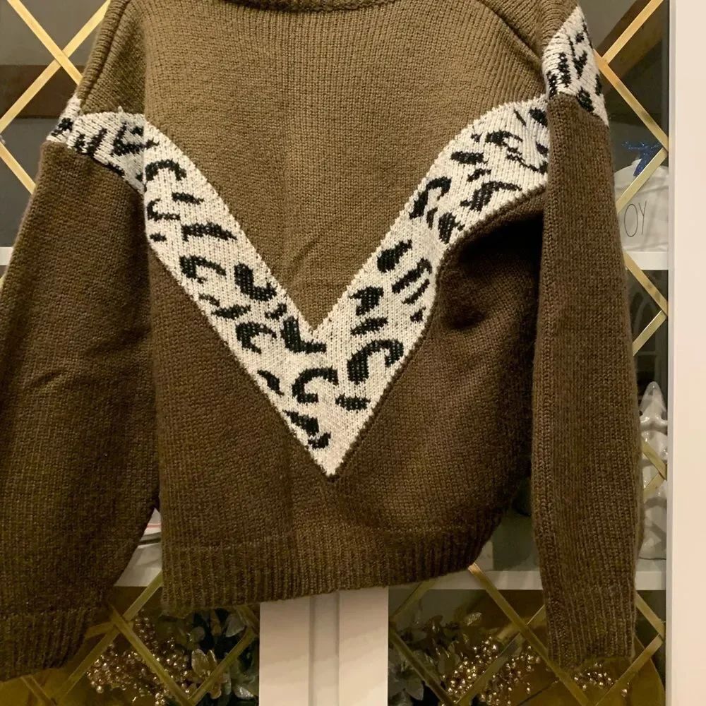 Leopard & Chevron Pattern Drop Shoulder Sweater - Picture 6 of 8